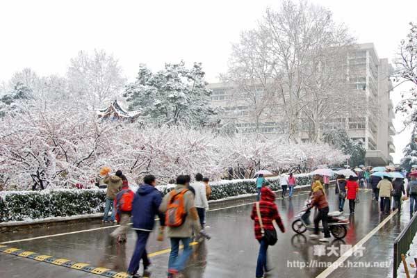 校园雪景